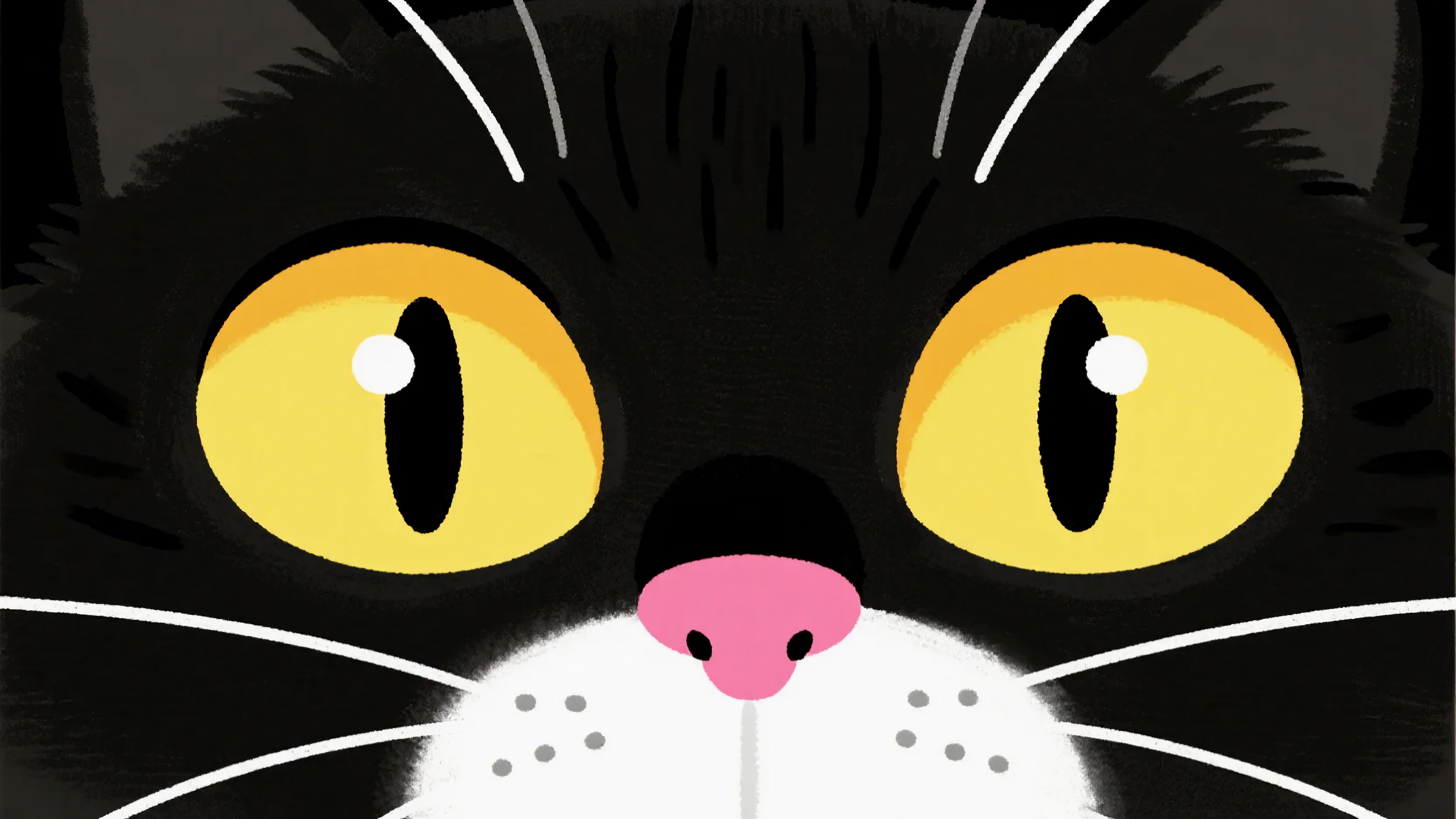 可爱黑猫