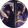 金阅龙