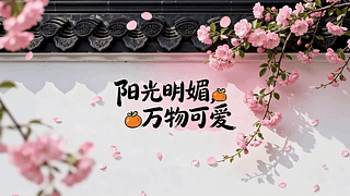 阳光明媚，万物可爱