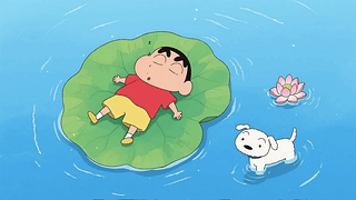清凉夏日荷塘小新