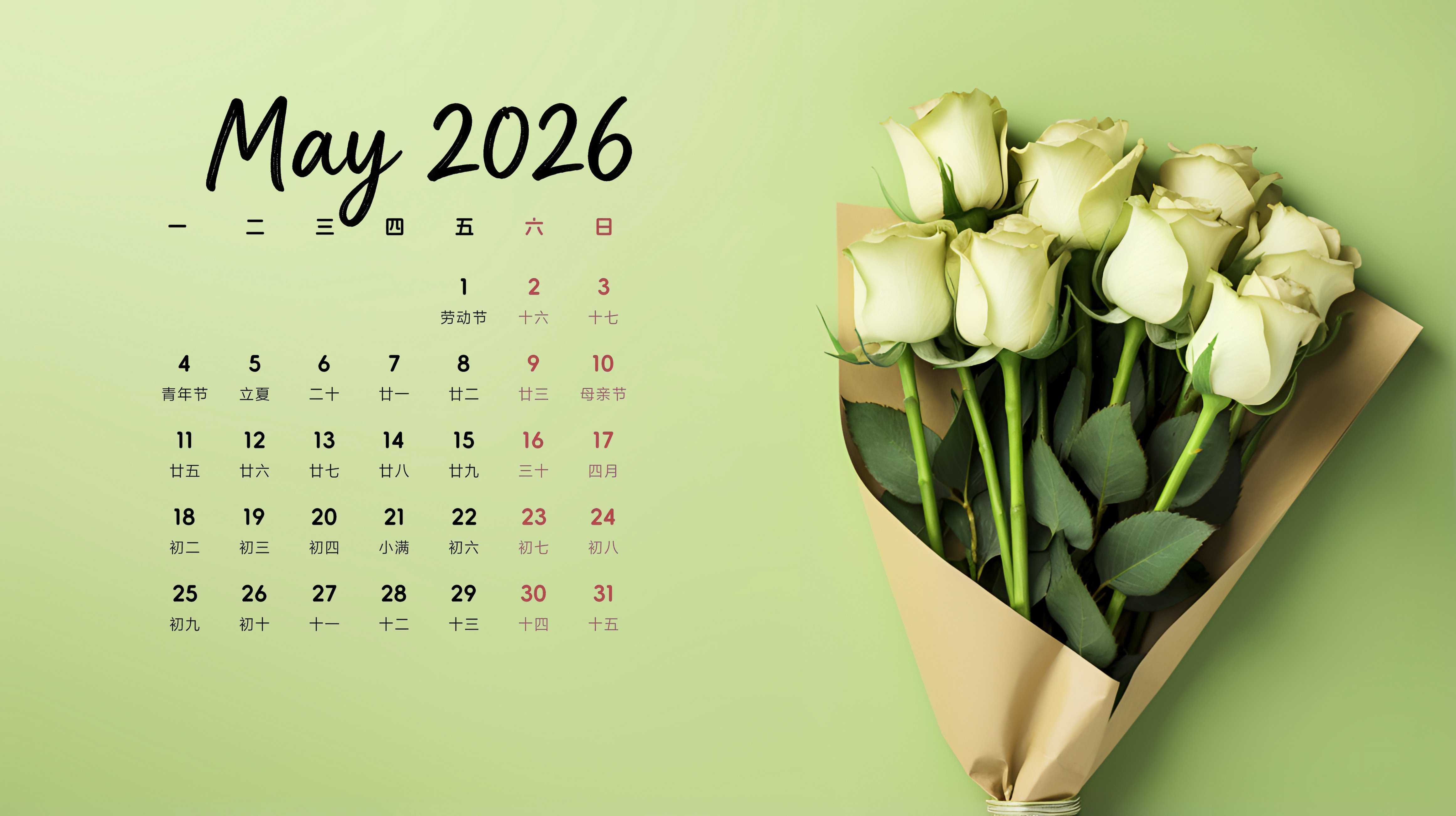 2026年5月日历壁纸-玫瑰花
