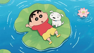 清凉夏日荷塘小新