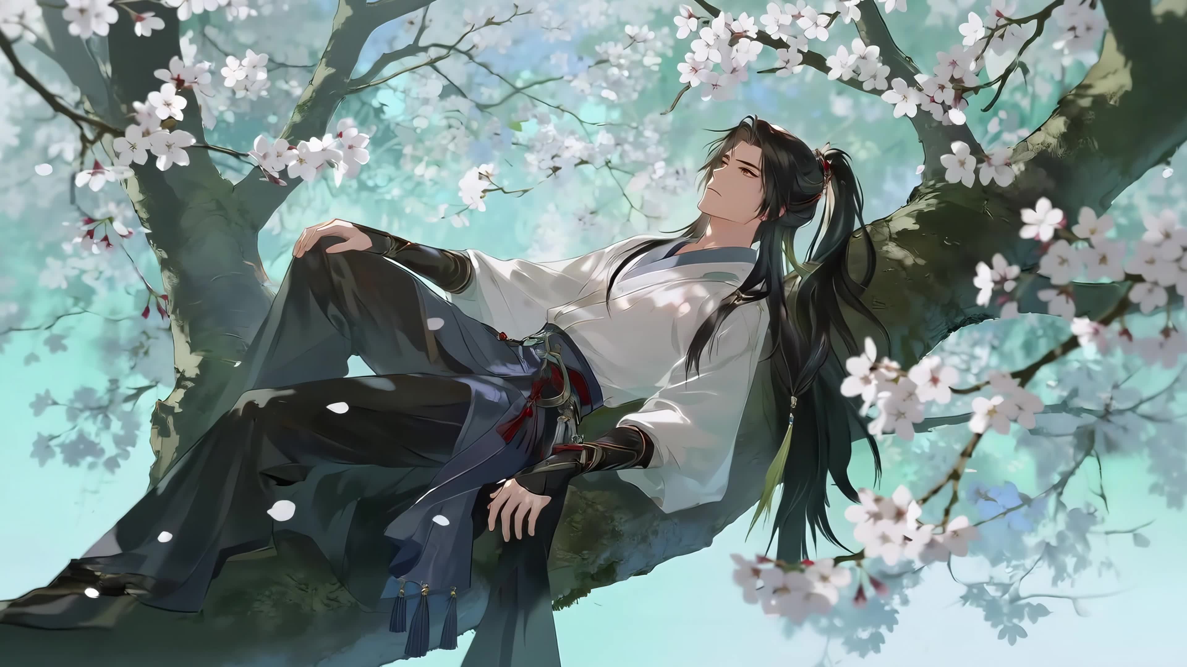 花树上的男神