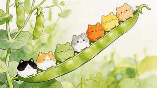 一群可爱猫咪