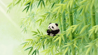 竹林里的大熊猫
