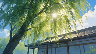 清新大树