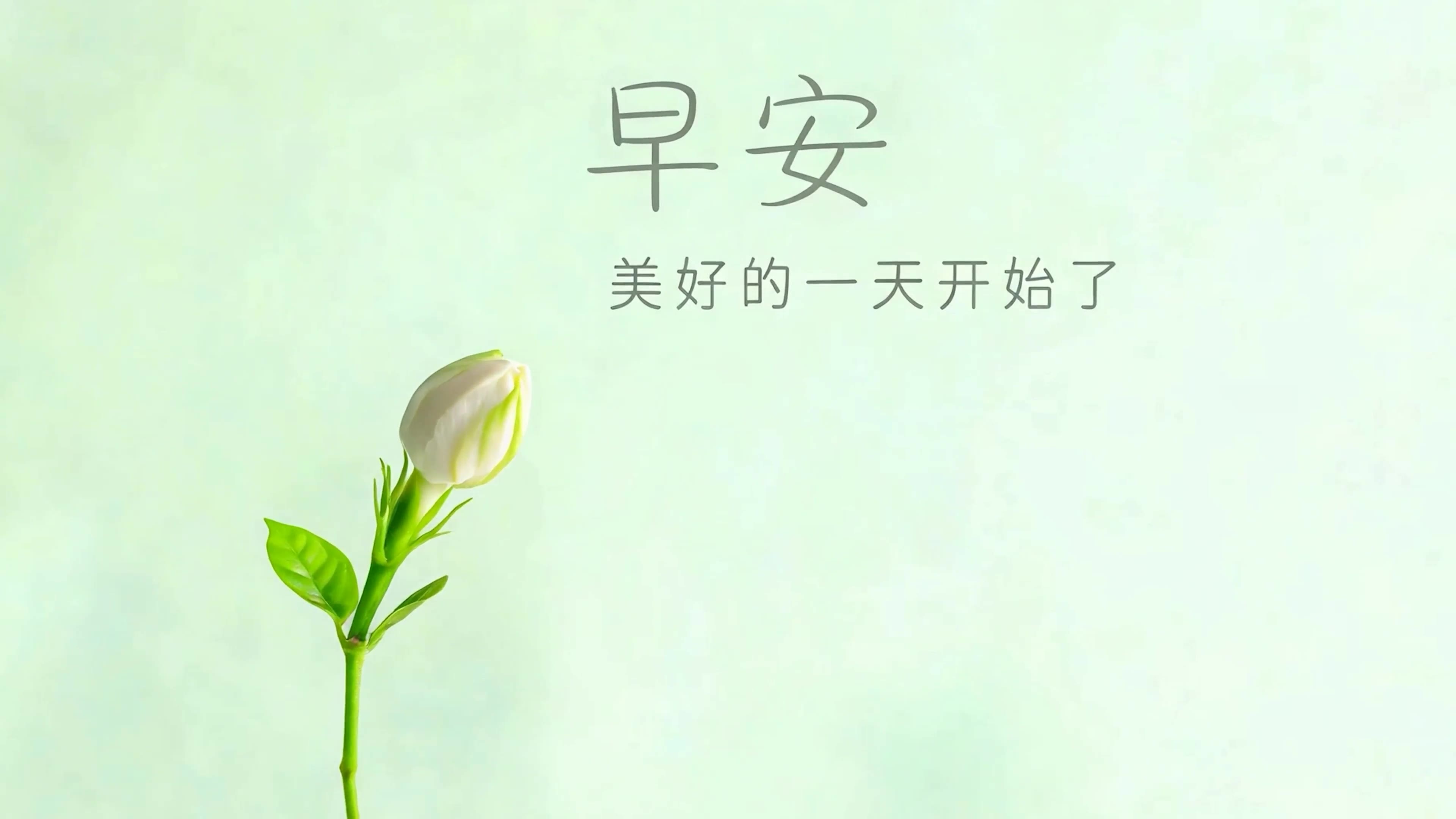 早啊