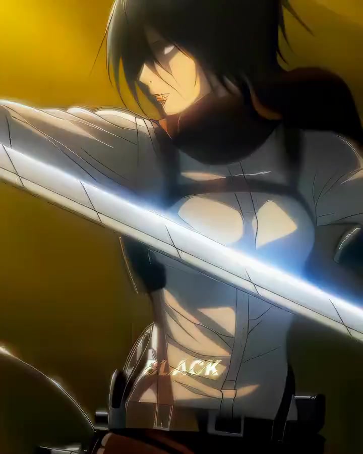 MIKASA 编辑