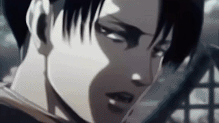 Ackerman Levi 编辑