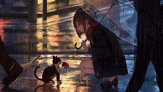 雨