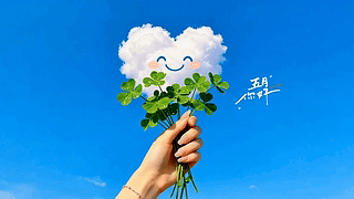 简约花束