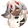 Faputa