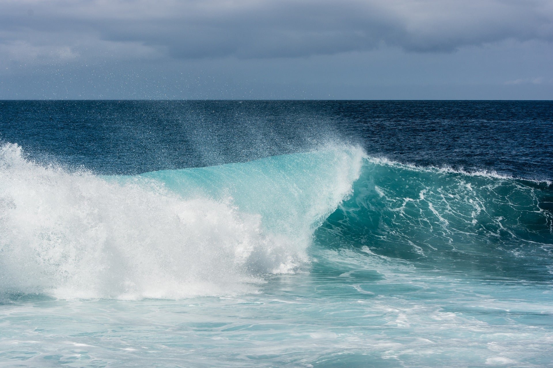海