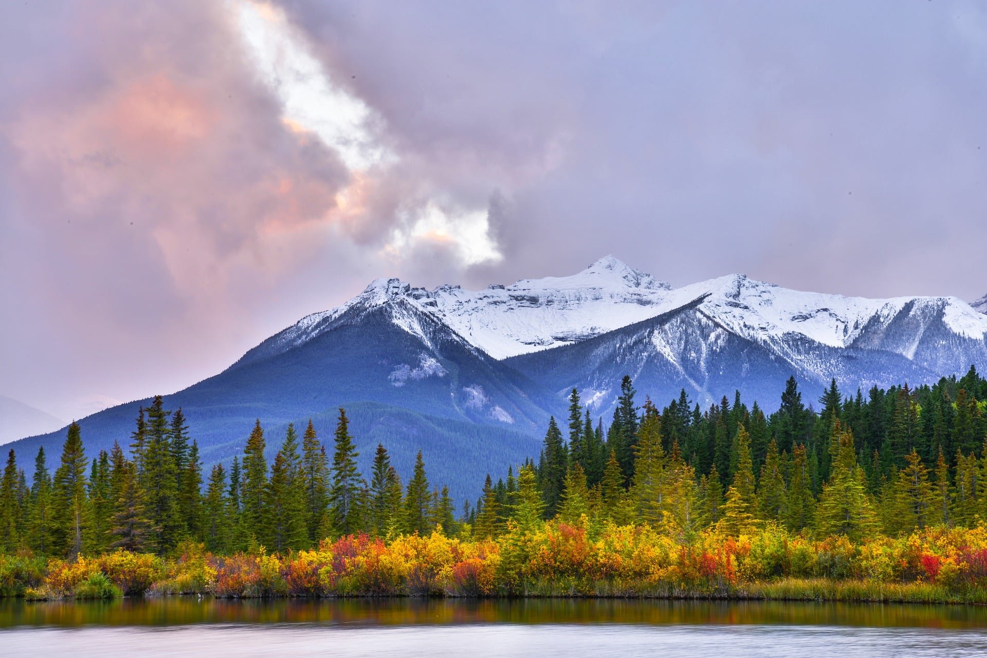 山