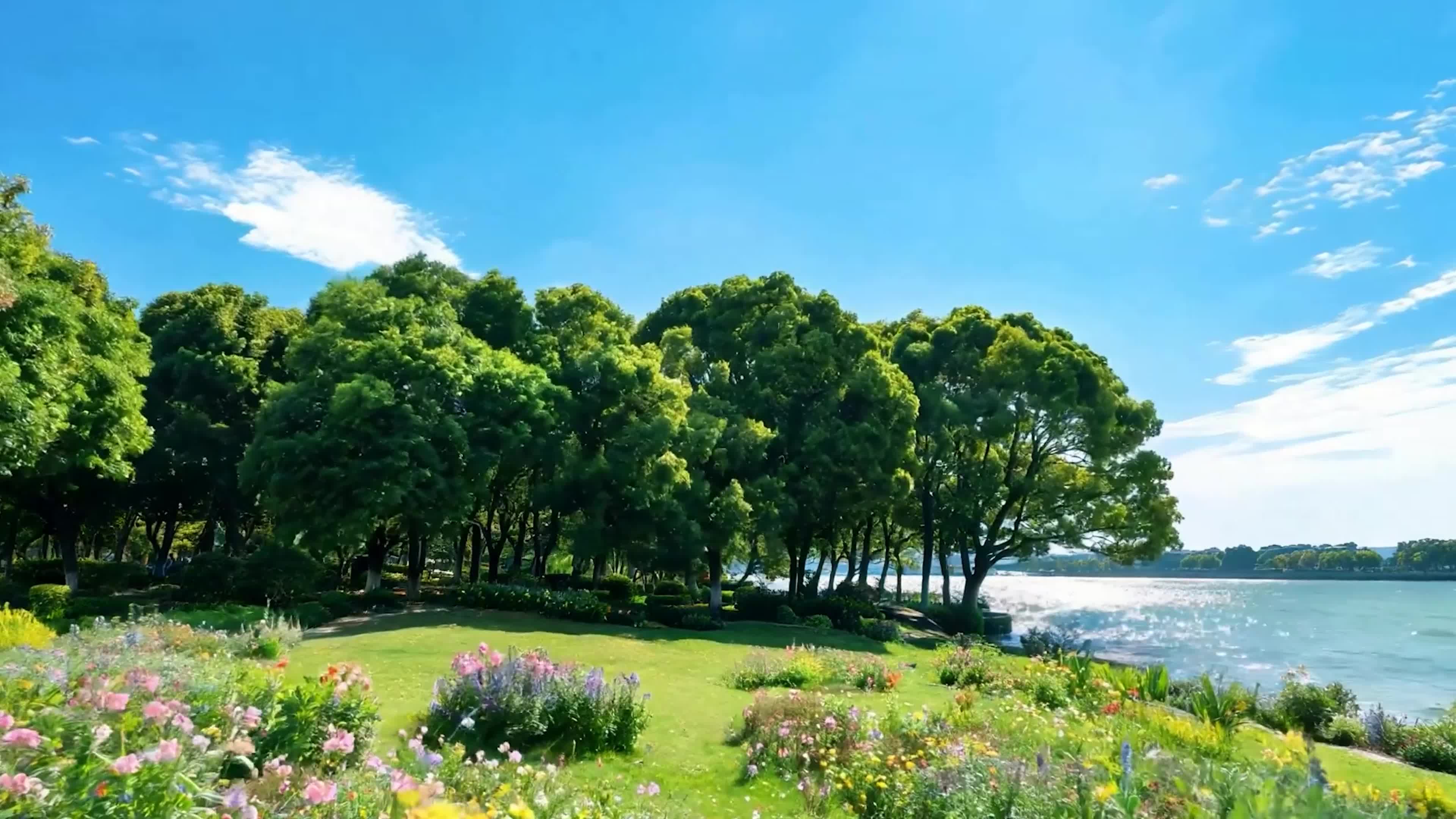 白云花草树木海景