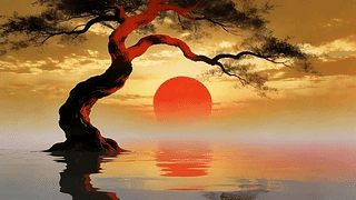 夕阳老树