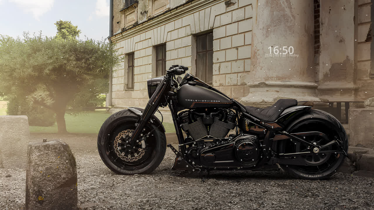 Harley Davidson