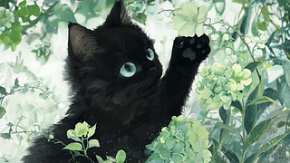 萌宠猫咪