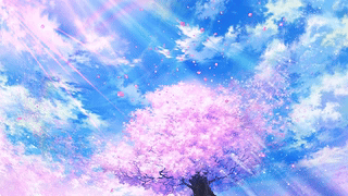 樱花彩虹