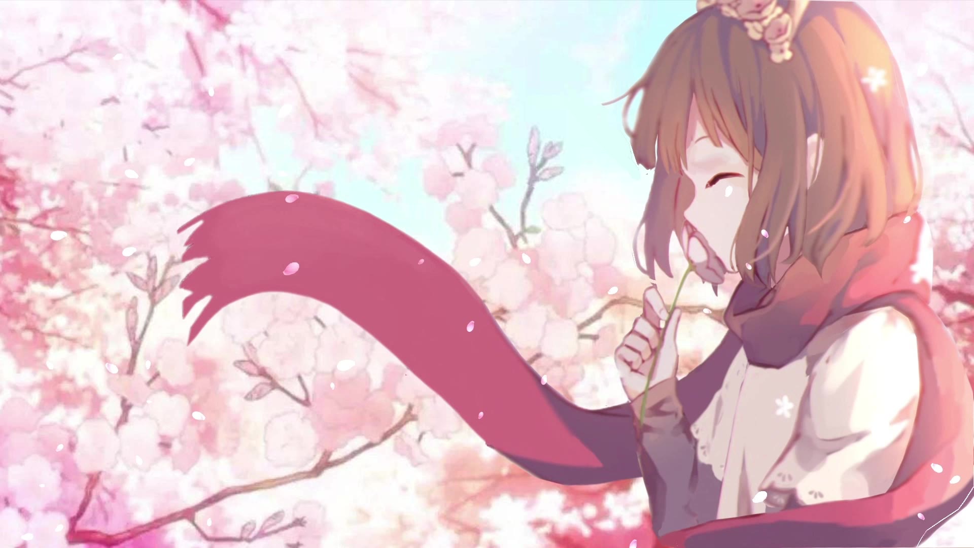 樱花