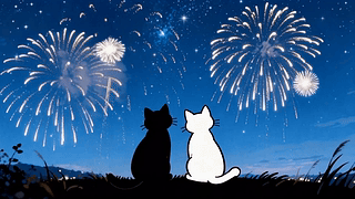 星夜烟花