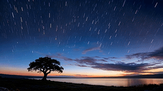 星夜湖岸
