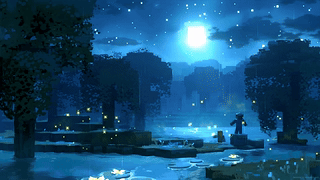 Minecraft 沼泽 夜晚