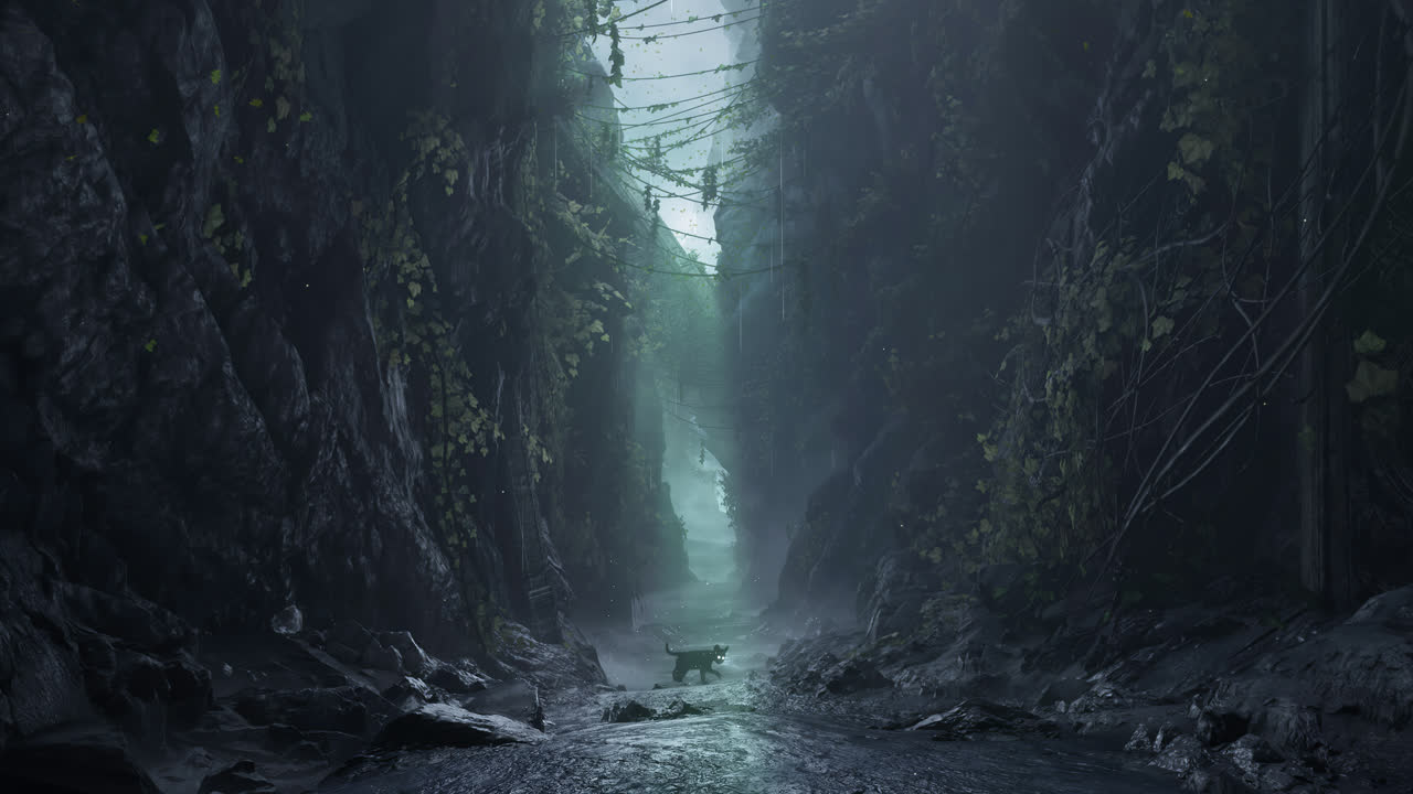 Peter Tran 的《The Black Cat Adventure》4K版