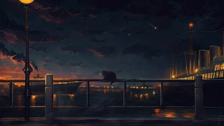 雨夜
