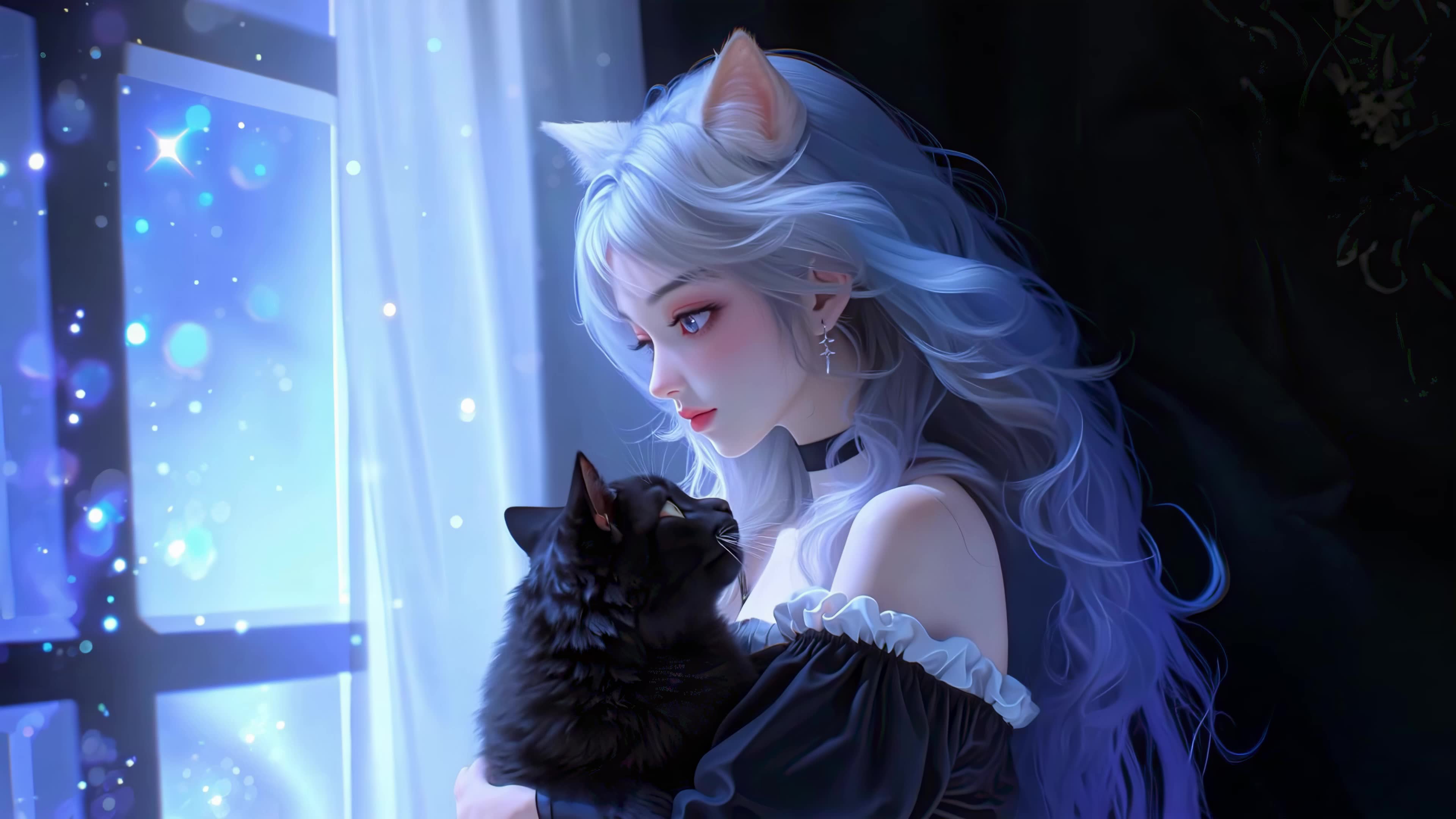 蓝夜猫耳少女与黑猫