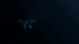 3D 蝴蝶