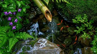 禅意流水
