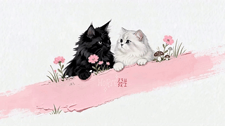 浪漫的黑猫白猫