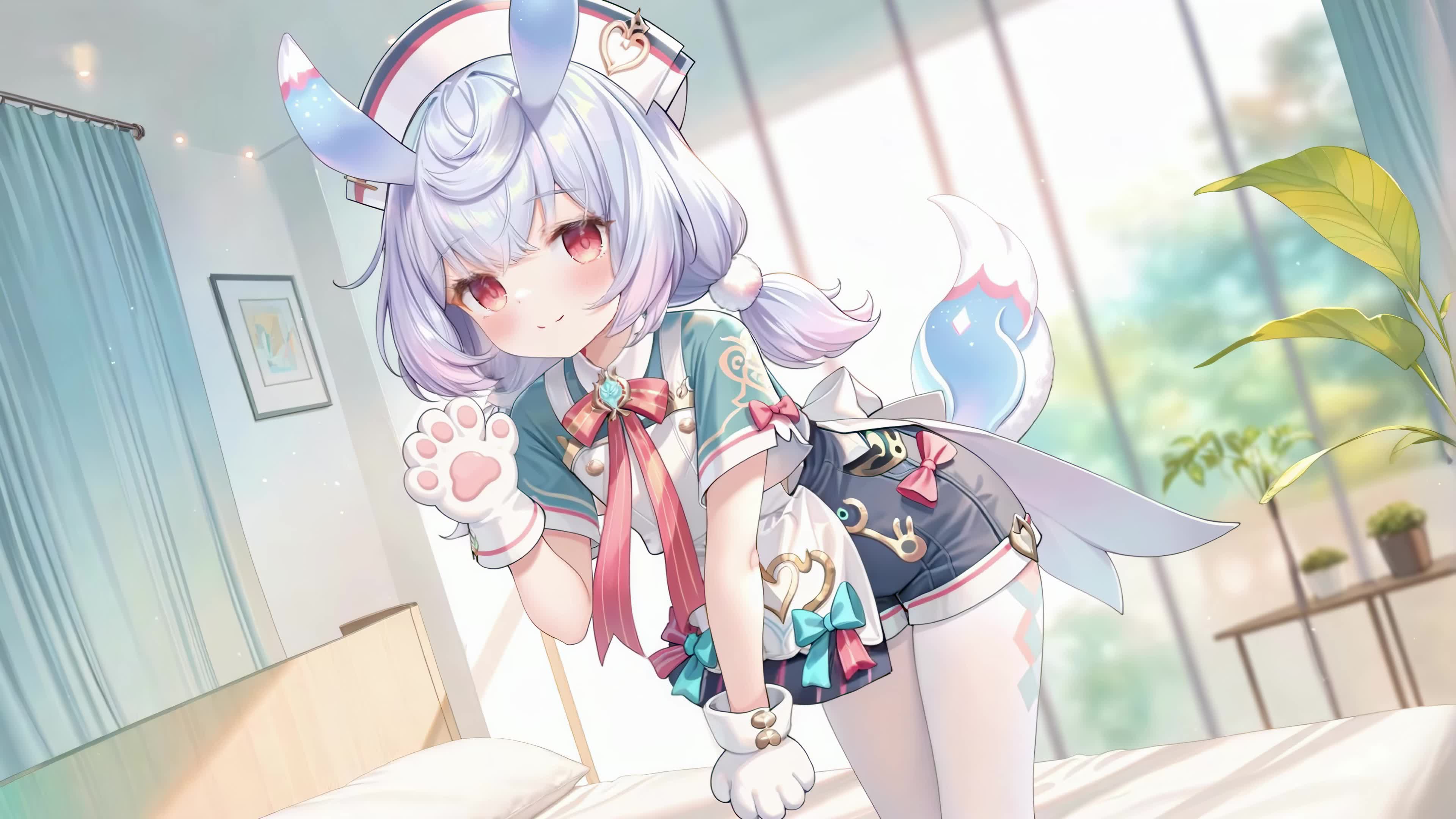 窗边软萌兔耳少女