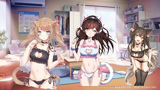 房间里的猫娘动漫女孩，D.Va 及更多