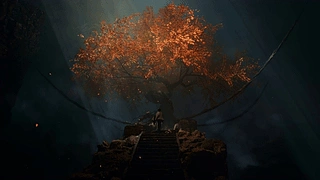 目的 动态壁纸 | 作者：Dragonfire
