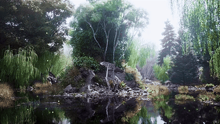 河流森林