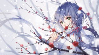 动漫 12