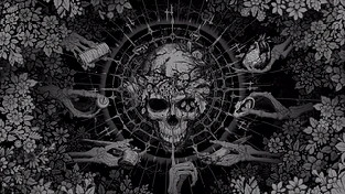 暗黑花丛 动态壁纸 | 作者：朴补