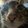 Cat Enjoyer