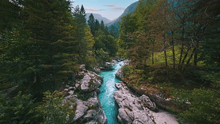 美丽的风景