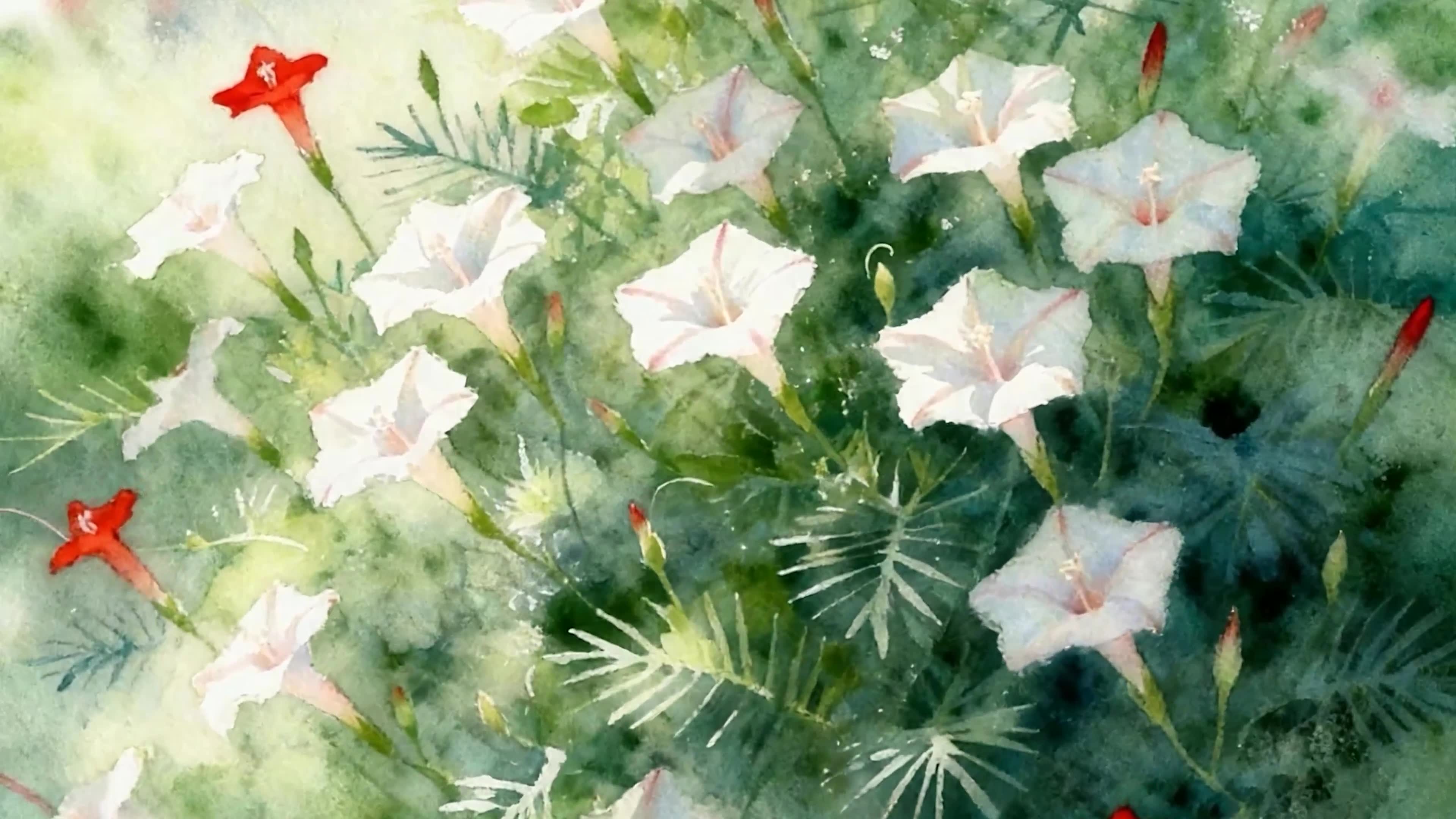 护眼花草树木