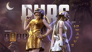 PUBG-双人美女（战绩展示版）