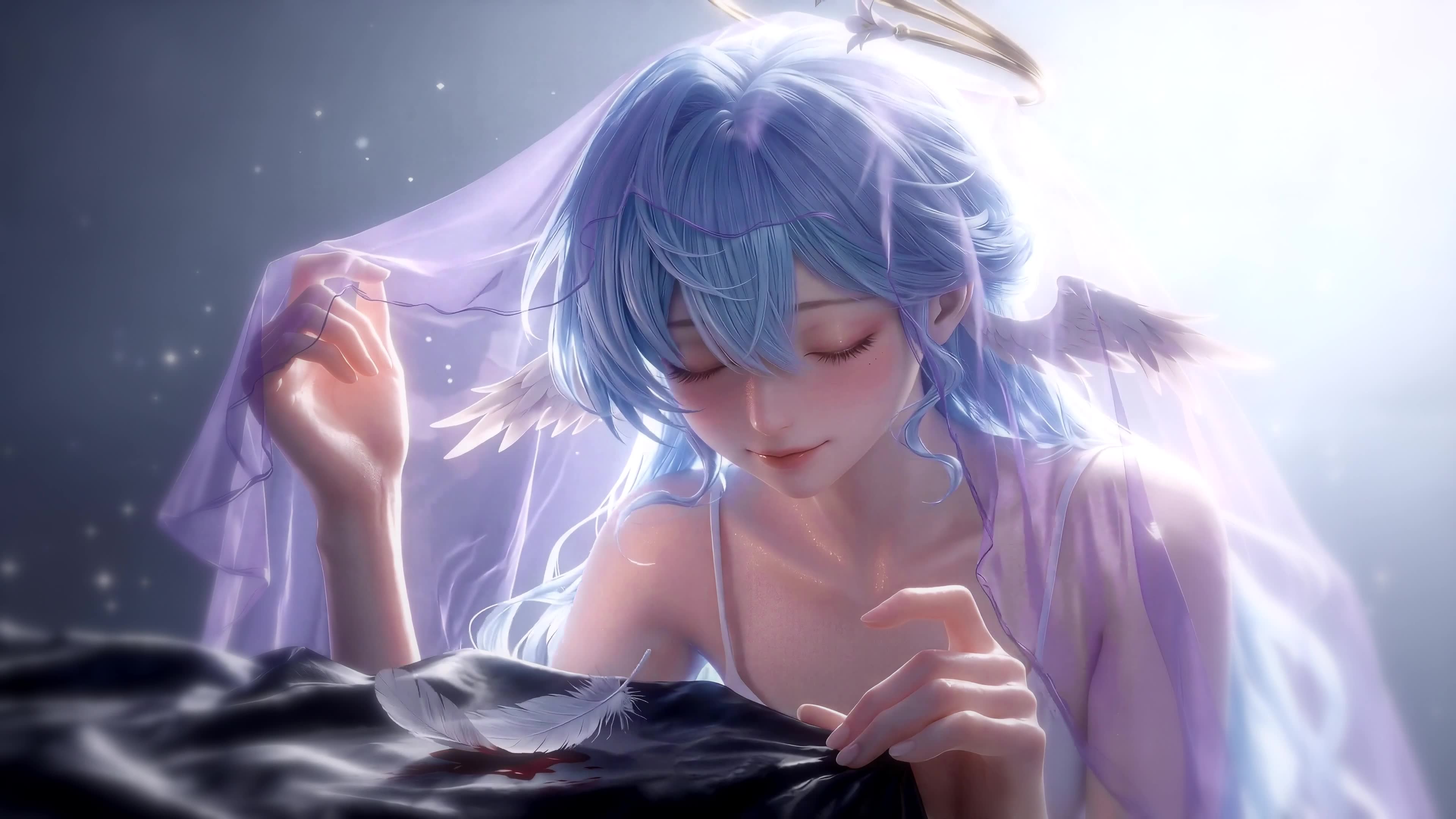 知更鸟 Robin