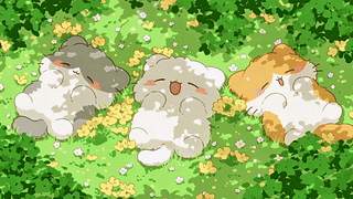 花丛中晒太阳的软萌小猫
