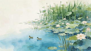 鸭子戏水
