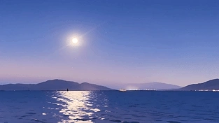 静谥的海湾 动态壁纸 | 作者：ALU