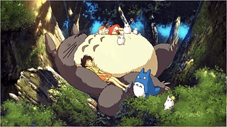 龙猫 1