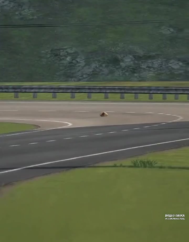 猫族 2