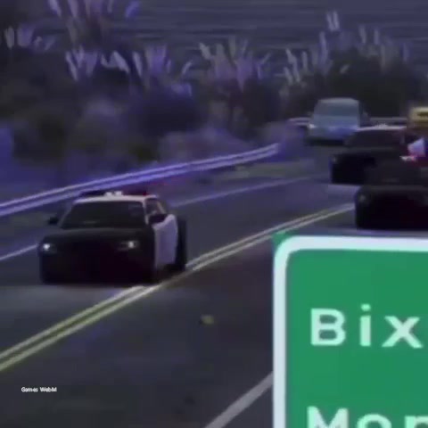 猫 汽车
